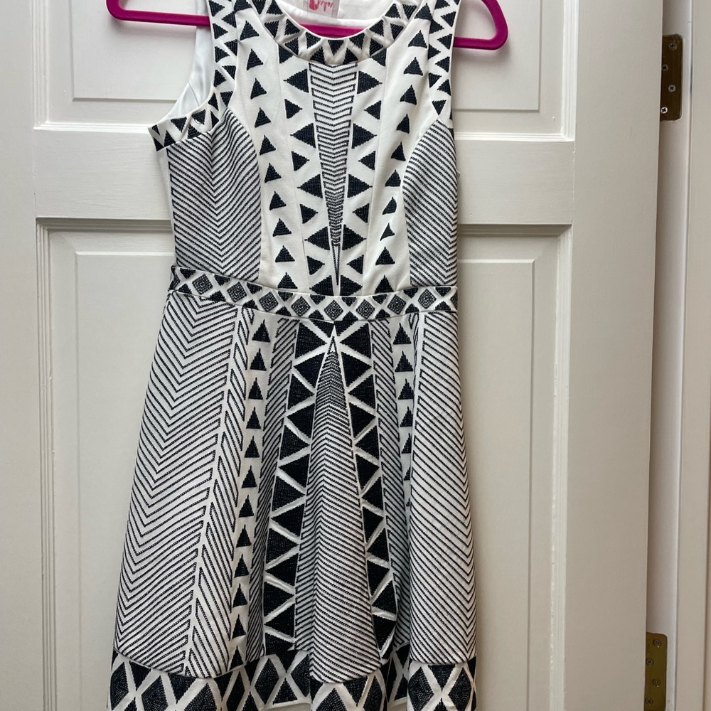 Parker size 0 dress in blue and white